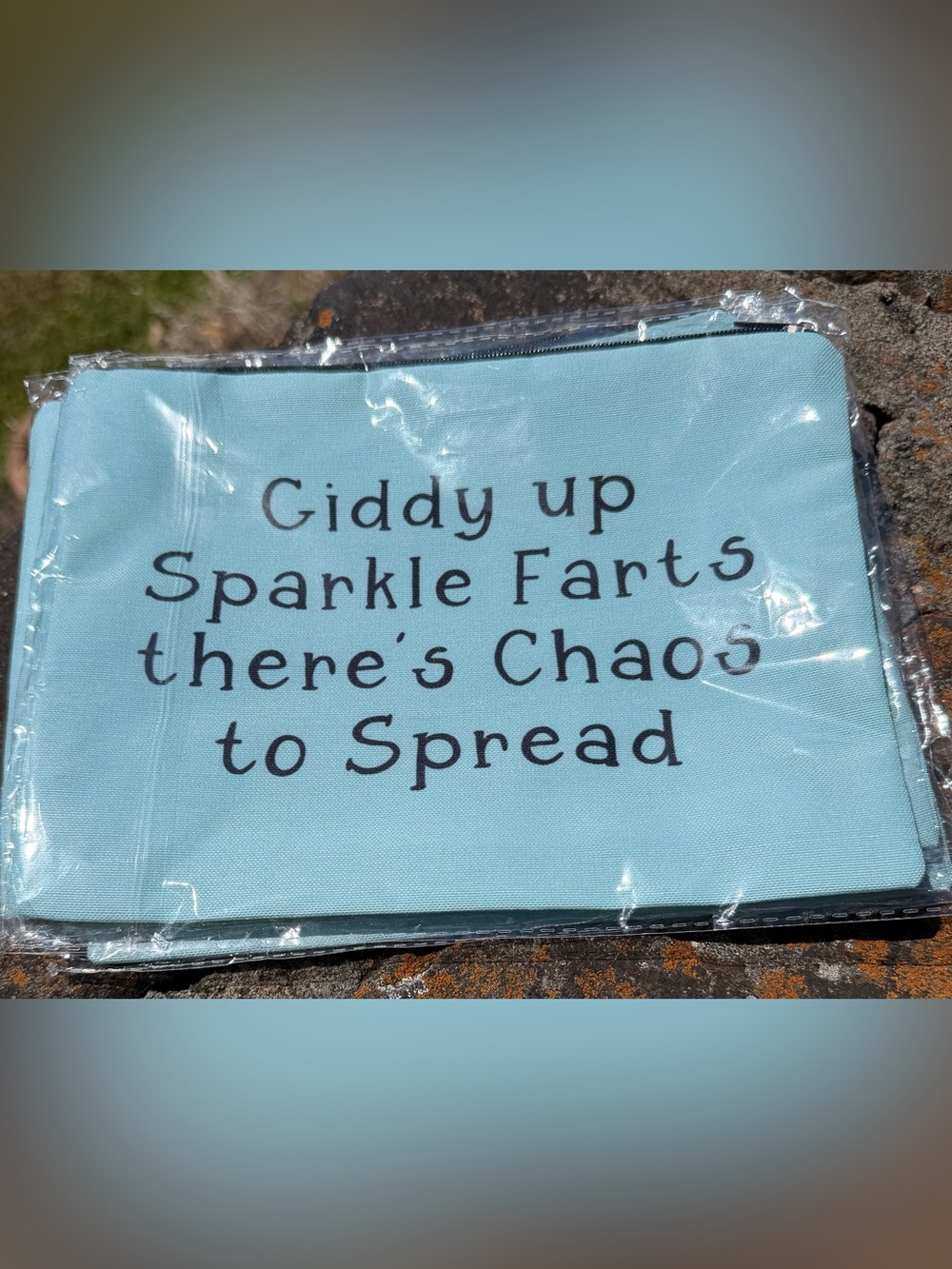 "Giddy Up" Make Up Bag~
NEW!